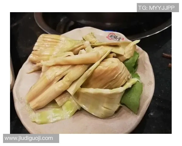 深度对话周磊篮球人生探索与成长的心路历程 深度对话周磊篮球人生探索与成长的心路历程